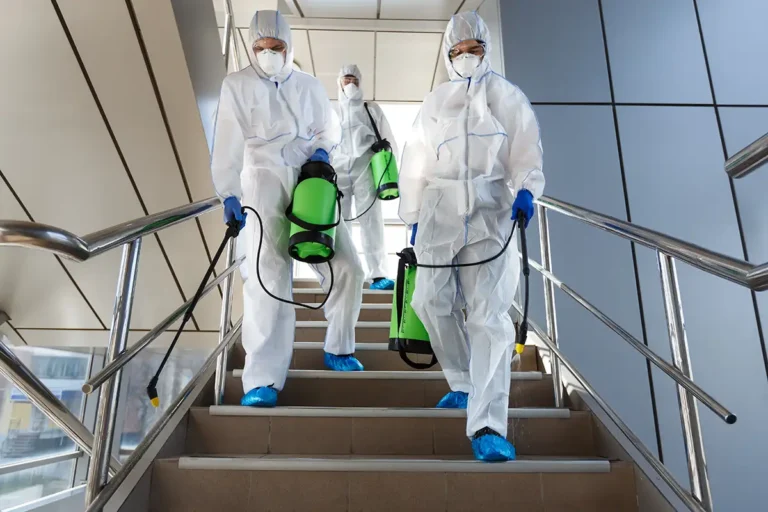 Biohazard clean up